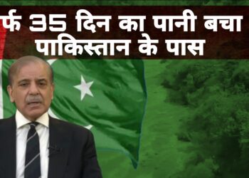 35 दिन का पानी बचा पाकिस्तान के पास! सिंधु समझौते पर भारत की सख्ती का दिखने लगा असर