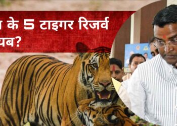देश से 5 टाइगर रिजर्व गायब? टाइगर स्टेट के मंत्री को देश में कितने टाइगर रिजर्व नहीं पता? जानिए पूरा मामला