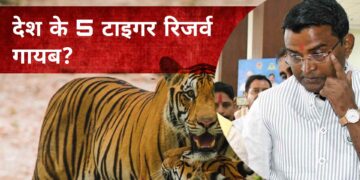 देश से 5 टाइगर रिजर्व गायब? टाइगर स्टेट के मंत्री को देश में कितने टाइगर रिजर्व नहीं पता? जानिए पूरा मामला