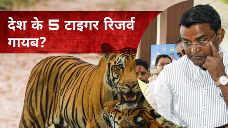 देश से 5 टाइगर रिजर्व गायब? टाइगर स्टेट के मंत्री को देश में कितने टाइगर रिजर्व नहीं पता? जानिए पूरा मामला