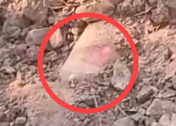 बीजापुर में नक्सलियों की साजिश नाकाम,  टिफिन और बीयर बोतल में छिपाए गए थे 2 आईडी बम