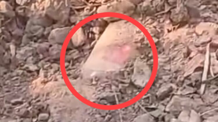 बीजापुर में नक्सलियों की साजिश नाकाम,  टिफिन और बीयर बोतल में छिपाए गए थे 2 आईडी बम