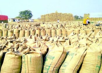 सरगुजा संभाग में धान खरीदी खत्म: 32 हजार से ज्यादा किसानों का नहीं बिका धान, क्या सरकार बढ़ाएगी तारीख?