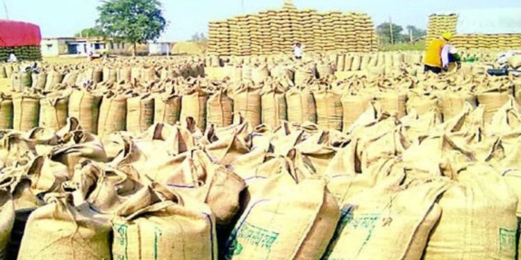 सरगुजा संभाग में धान खरीदी खत्म: 32 हजार से ज्यादा किसानों का नहीं बिका धान, क्या सरकार बढ़ाएगी तारीख?