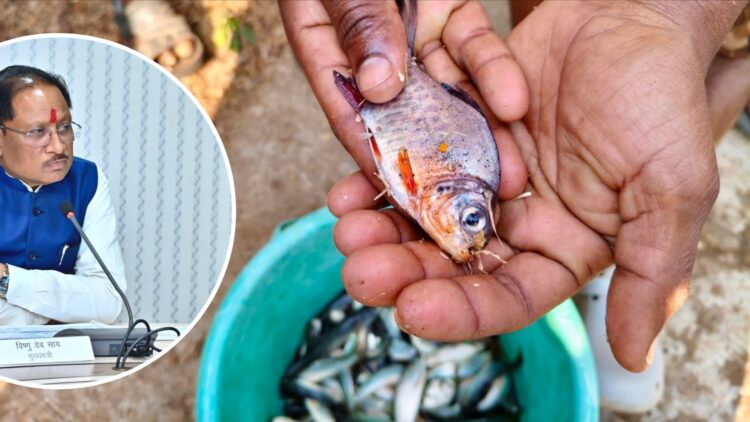 सुकमा के जंगलों में पहुंची विकास की बयार: ‘नियद नेल्लानार’ योजना से मछली पालन बना कमाई का जरिया
