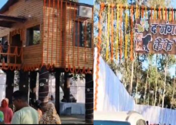 कोरिया में ‘द जंगल कैफे’ का आगाज़: वसंतोत्सव पर पर्यटन और स्वरोजगार को मिली नई उड़ान