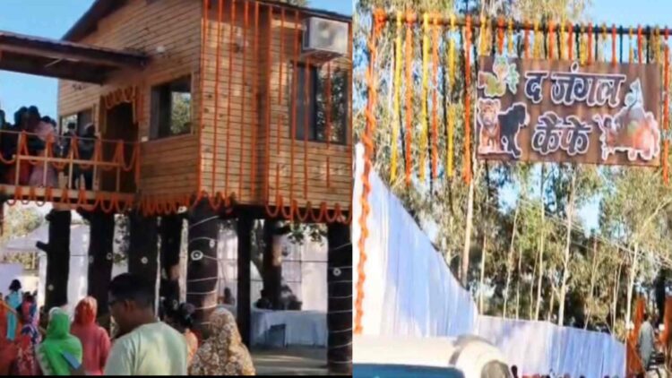 कोरिया में ‘द जंगल कैफे’ का आगाज़: वसंतोत्सव पर पर्यटन और स्वरोजगार को मिली नई उड़ान