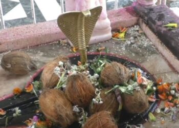 जांजगीर-चांपा के शिवालयों में महाशिवरात्रि की धूम: खरौद में ‘अक्षय कुंड’, तो पीथमपुर में दूर होते हैं पेट के रोग; जानें इन मंदिरों की महिमा