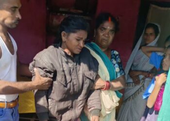 कवर्धा: खेत में काम कर रही महिलाओं पर मधुमक्खियों का हमला, 4 घायल; भागूटोला में मची अफरा-तफरी
