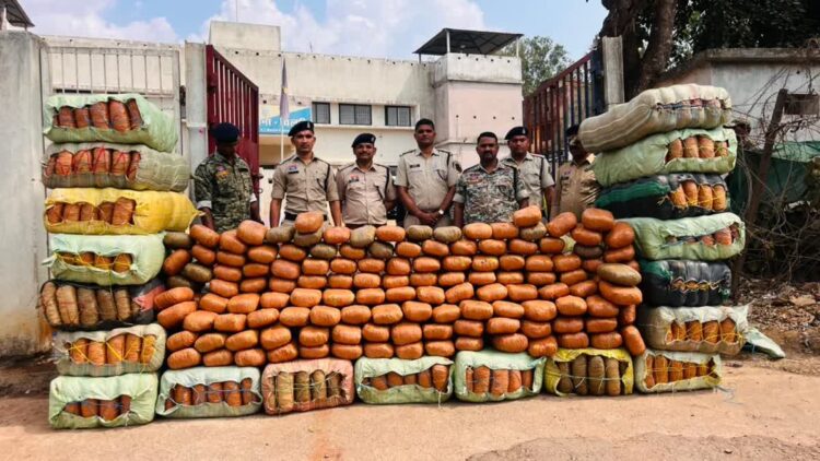 5 करोड़ का गांजा ‘खुफिया चैंबर’ से बरामद: चिल्फी पुलिस की बड़ी कार्रवाई, ओडिशा से राजस्थान जा रही थी 9 क्विंटल की खेप